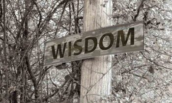 Wijsheid in besluitvorming is belangrijker dan kennis en planning